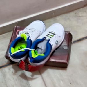 Sports Shoes