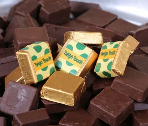 Twigo Touch Chocolate