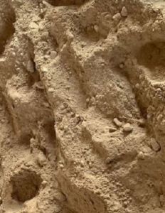 Sterilized Fish Meal