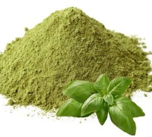 Basil Leaves Powder