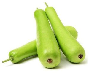 Bottle Gourd