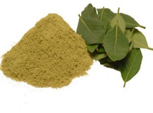 Dehydrated Bay Leaves Powder