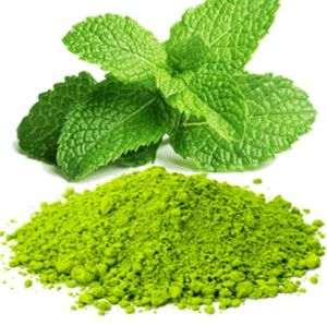 Dehydrated Mint Leaves Powder