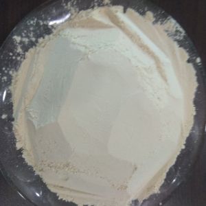 Dehydrated White Onion Powder