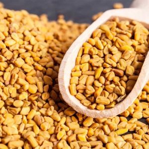 Fenugreek Seeds
