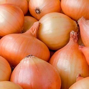 Fresh Yellow Onion