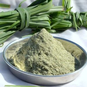 Lemongrass Leaves Powder