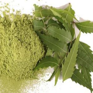 Neem Leaves Powder