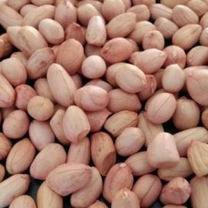 Peanut Seeds