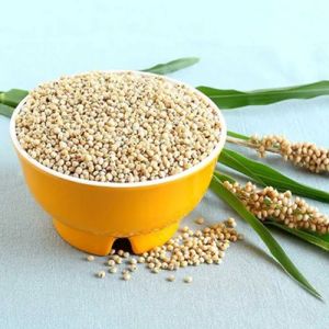 Sorghum Seeds