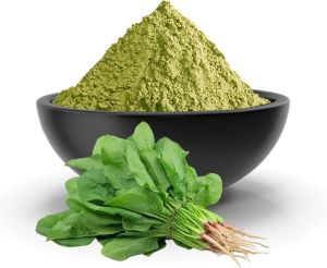 Spinach Leaves Powder
