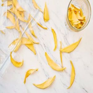 Spray Dried Mango Flakes