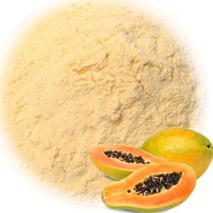 Spray Dried Papaya Powder