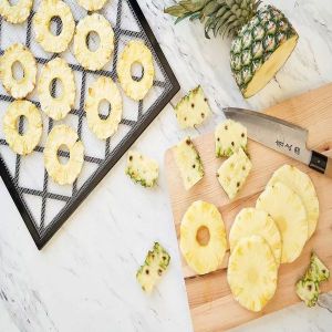 Spray Dried Pineapple Flakes