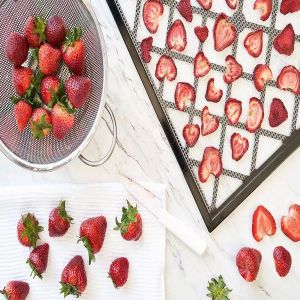 Spray Dried Strawberry Flakes