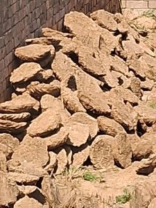 Pure Cow Dung Cake