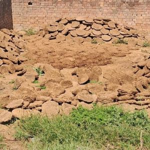 Pure Cow Dung Cake