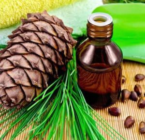 Pine Needle Oil