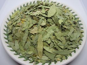 Senna Leaves