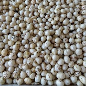 3 Plus Suta Raw Makhana