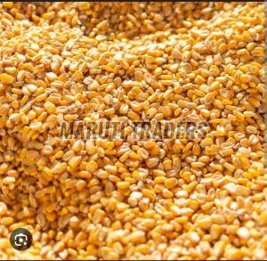A Grade Yellow Maize