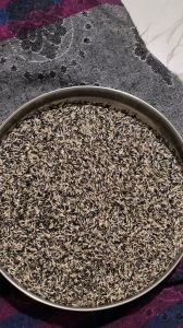 Marigold Seeds