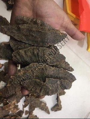 Agarwood Chips