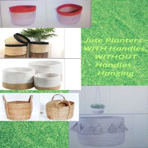 Jute Planter