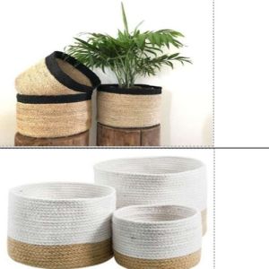 Jute Planter