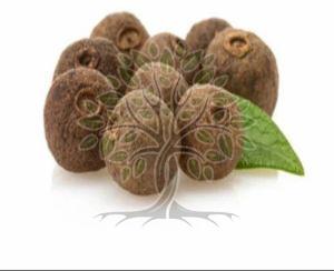 All Spice Essential Oil