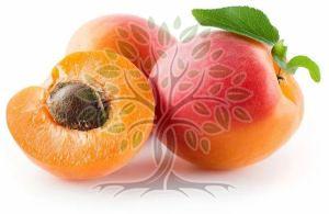 Apricot Kernel Carrier Oil
