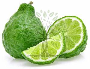 Bergamot Essential Oil