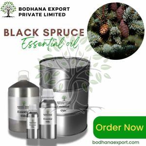 Black Spruce Essential Oil