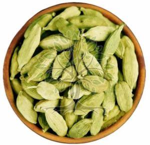 Cardamom Essential Oil