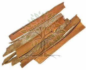 Cassia Essential Oil