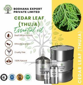 Cedar Leaf Thuja Essential Oil