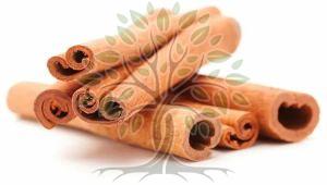 Cinnamon Bark Essential Oil