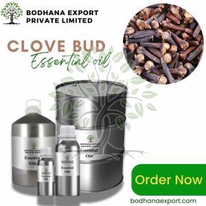 Clove Bud Essential Oil