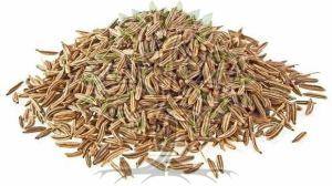 Cumin Seed Essential Oil