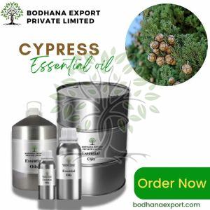 Cypress Essential Oil
