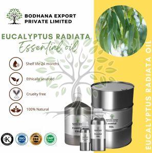 Eucalyptus Radiata Essential Oil
