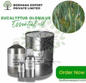Eucalyptus Globulus Essential Oil