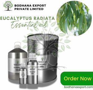 Eucalyptus Radiata Essential Oil