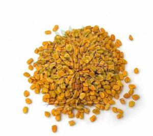 Fenugreek Essential Oil