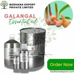 Galangal Essential Oil