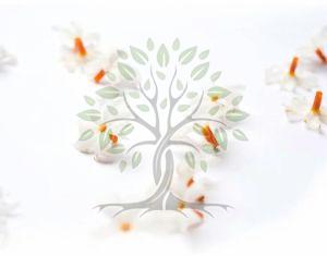 Harshingar Essential Oil