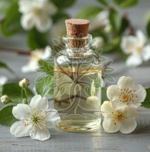Jasmine Essential Oil