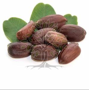 Jojoba Carrier Oil