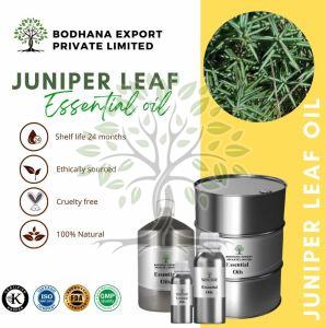 Juniper Leaves Essential Oil