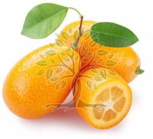 Kumquat Essential Oil